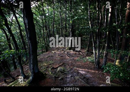 Sentiero per il Teufelskanzel, cintura verde, sentiero di confine, confine interno-tedesco, Werra-Bergland, Gerbershausen, distretto di Eichsfeld, Turingia Foto Stock