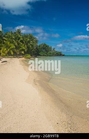 Spiaggia di sabbia bianca e spiaggia circondata da palme nella laguna di Aitutaki, Rarotonga e le isole Cook Foto Stock