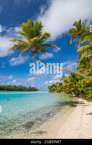 Spiaggia di sabbia bianca e palme nella laguna di Aitutaki, Rarotonga e le isole Cook Foto Stock