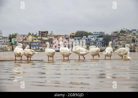 Pushkar, India. 02 agosto 2021. Il lago Pushkar è uno dei luoghi di pellegrinaggio più importanti, nonché il sito della fiera Pushkar famosa in tutto il mondo. Circondato da numerosi templi e ghat (punti di balneazione), il lago attira migliaia di devoti ogni anno alla sua soglia, per ottenere una distinzione spirituale e raggiungere la salvezza facendo un tuffo nelle sue acque sacre. (Foto di Shaukat Ahmed/Pacific Press) Credit: Pacific Press Media Production Corp./Alamy Live News Foto Stock