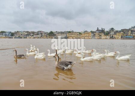 Pushkar, India. 02 agosto 2021. Il lago Pushkar è uno dei luoghi di pellegrinaggio più importanti, nonché il sito della fiera Pushkar famosa in tutto il mondo. Circondato da numerosi templi e ghat (punti di balneazione), il lago attira migliaia di devoti ogni anno alla sua soglia, per ottenere una distinzione spirituale e raggiungere la salvezza facendo un tuffo nelle sue acque sacre. (Foto di Shaukat Ahmed/Pacific Press) Credit: Pacific Press Media Production Corp./Alamy Live News Foto Stock