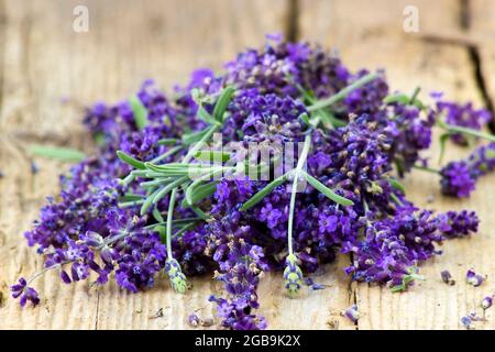 fiori di lavanda su vecchio sfondo di legno Foto Stock