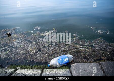 Emden, Germania. 09 giugno 2021. Una bottiglia di plastica galleggia nel bacino del porto. Molte città della bassa Sassonia stanno progettando di dotare i loro porti dei cosiddetti contenitori per rifiuti marini nel prossimo futuro. Una pompa immergibile sotto il cestello aspira in modo permanente acqua. Flottham galleggianti sulla superficie dell'acqua nelle vicinanze viene aspirato e cade nella rete di raccolta. L'acqua rifluisce nel bacino del porto. (A dpa-KORR.: 'Secchi con aspirazione: Come galleggianti bidoni di rifiuti sbarazzano porti di plastica') Credit: Sina Schuldt/dpa/Alamy Live News Foto Stock