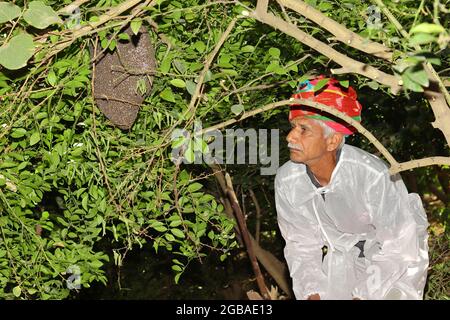 Primo piano di un contadino asiatico in piedi in un giardino, con un turbante colorato e un vestito bianco, guarda un alveare di ape di miele su un ramo di albero Foto Stock