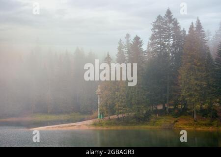 lago synevyr in una mattina foggy. splendido scenario naturale del parco nazionale in autunno. atmosfera misteriosa e cielo nuvoloso. alberi in fogliame colorato Foto Stock