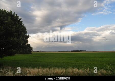 Guardando a est dalla griglia 490242 della OS, si supera Terrington Marsh al confine tra Lincolnshire e Norfolk a Fens, Inghilterra orientale, Regno Unito Foto Stock