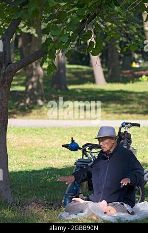 Un uomo seduto di 86 anni fa Falun Gong slow-moving esercizi vicino ad un albero. In un parco a Queens, New York, un luogo molto diverso. Foto Stock