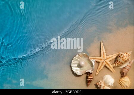Stelle marine e conchiglia sulla spiaggia estiva in acqua di mare. Sfondo estivo Foto Stock