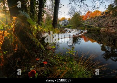 Paesaggio naturale con funghi rossi con cascata e riflessi d'acqua al tramonto a Mondim de basso, Norte, Portogallo, Europa Foto Stock