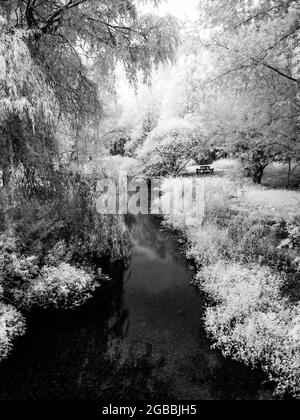 Il fiume Kennett vicino a Marlborough nel Wiltshire, sparato a infrarossi. Foto Stock