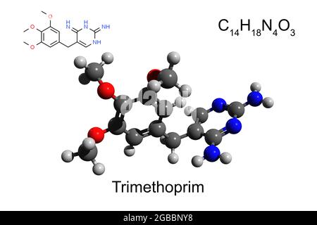 Formula chimica, formula strutturale e modello 3D a sfera e bastone di antibiotico trimetoprim, fondo bianco Foto Stock