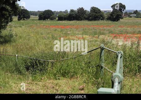 Theobalds Park, Waltham Cross, ha proposto un nuovo sito Sunset Film Studio in Hertfordshire Foto Stock