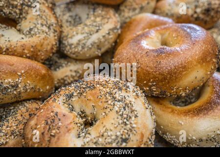 Primo piano di bagel appena sfornati con semi sulla parte superiore. Foto Stock