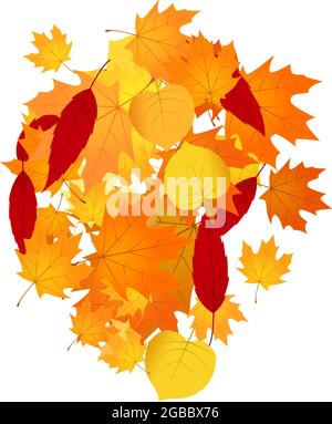 Mucchio di foglie cadute. Mucchio di foglie di autunno arancio, giallo e rosso. Illustrazione Vettoriale