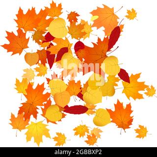 Mucchio di foglie cadute. Mucchio di foglie di autunno arancio, giallo e rosso. Illustrazione Vettoriale