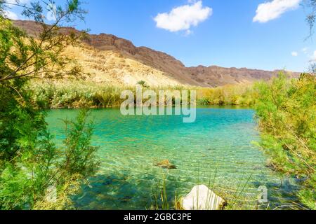 Vista di una piscina d'acqua salmastra, con scogliere del deserto, nella riserva naturale di Einot Tzukim (Ein Feshkha), sulla costa nord occidentale del Mar Morto, ISR meridionale Foto Stock