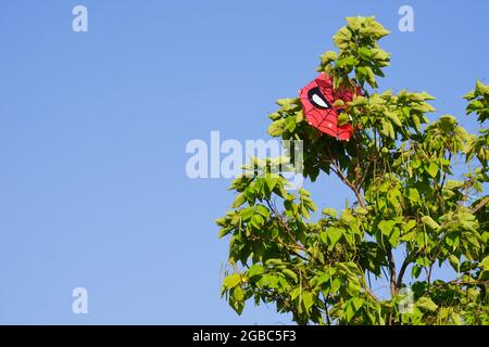 Aquilone rosso con la figura di Spiderman bloccato nell'albero in una giornata di sole Foto Stock