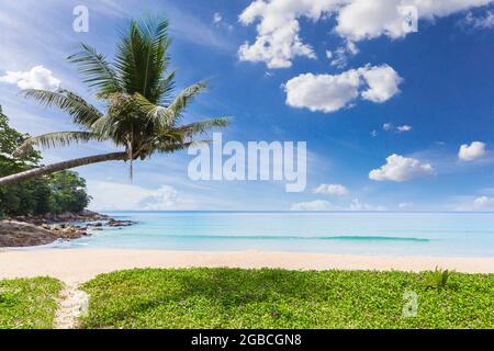 Paesaggio tropicale di sabbia bianca con alberi di cocco su sfondo blu cielo a Phuket, Thailandia. Foto Stock