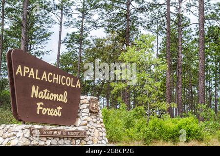 Florida Tallahassee Apalachicola National Forest segno di confine, Foto Stock