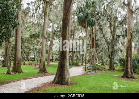 Winter Park Florida,Orlando Kraft Azalea Garden Public Park,palma cipressi alberi di muschio spagnolo sentiero sentiero passerella, Foto Stock