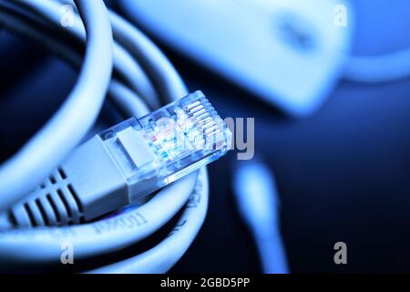 Primo piano del cavo ethernet per la connessione di rete LAN Foto Stock