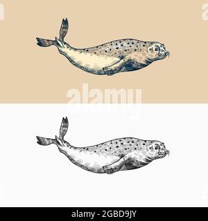 Guarnizione del porto. Creature marine, animali nautici o pinnidi. Insegne retrò d'epoca. Stile Doodle. Schizzo inciso disegnato a mano Illustrazione Vettoriale