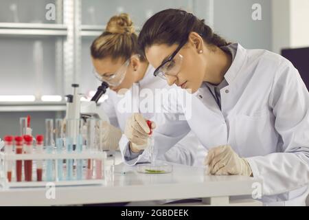 Giovane chimico che conduce esperimenti con il cibo in laboratorio moderno Foto Stock