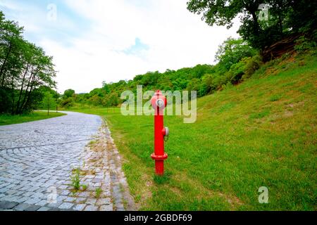 Fuoco Hydrant nella foresta. Protezione della foresta da incendi. Idrante fuoco rosso ai margini della foresta. Wildfire o concetto di sicurezza antincendio forestale. Foto Stock