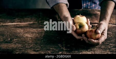 Alto angolo di raccolto anonimo agricoltore maschile con mele fresche mature a vecchio tavolo di legno in cucina rustica Foto Stock