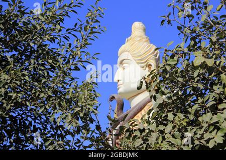 Vista laterale di Lord Shiva dietro il fogliame al tempio Nageshwar Jyotirlinga vicino a Dwarka, Gujarath, India Foto Stock