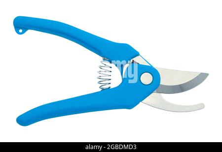 Cesoie per potatura blu tagliate su bianco. Foto Stock