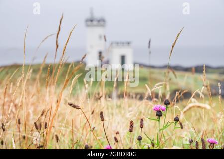 Pretty Elie Ness Lighthouse a Fife - Scozia, Regno Unito Foto Stock