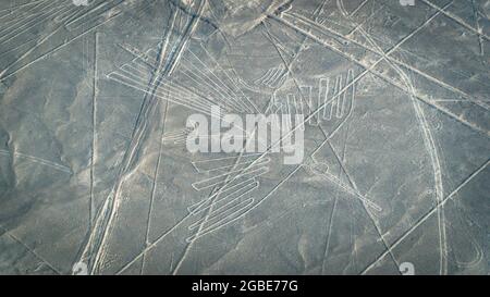 Il Condor Nazca antico misterioso geoglifico. Linee Nazca visto dall'aereo. Le linee di Nazca sono punti di riferimento del Perù Foto Stock