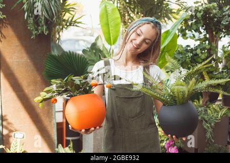 La ragazza fiorista o proprietario del negozio offre due piante domestiche in pentole da scegliere. Fern e albero tangerino. Foto Stock
