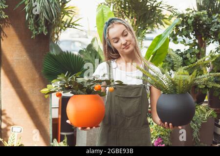 La ragazza fiorista o proprietario del negozio offre due piante domestiche in pentole da scegliere. Fern e albero tangerino. Foto Stock
