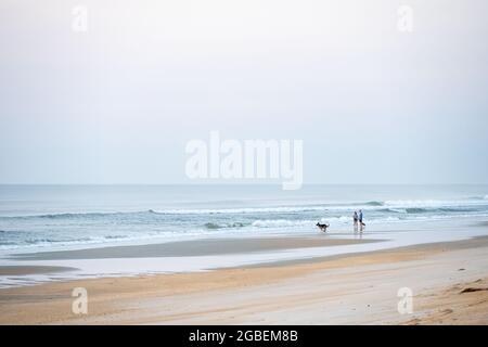 Coppia senior con cani che si gode di una tranquilla mattina all'alba sulla spiaggia del Washington Oaks Gardens state Park a Palm Coast, Florida. (STATI UNITI) Foto Stock