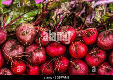 Barbabietola a Nuwara Eliya, Sri Lanka Foto Stock