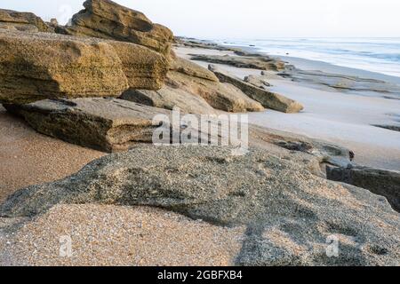 Coquina si affaccia lungo la costa atlantica al Washington Oaks Gardens state Park a Palm Coast, nella contea di Flagler, Florida. (STATI UNITI) Foto Stock