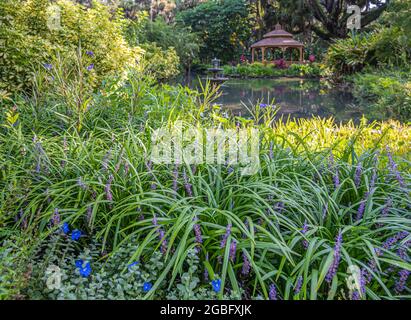 Giardini formali e gazebo nell'amaca di quercia al Washington Oaks Gardens state Park a Palm Coast, Florida. (STATI UNITI) Foto Stock