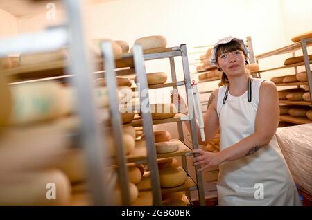 30 luglio 2021, Brandeburgo, Flatow: L'agricoltore Sarah Spindler si trova tra i diversi tipi di formaggio nella sala di maturazione del caseificio di capra Karolinenhof vicino a Kremmen. La fattoria di capra è qui dal 1992, producendo 20 tipi differenti di formaggio crudo di latte dal 100 per cento latte di capra nel suo proprio caseificio. A vostra disposizione anche latte fresco, yogurt, torte, frutta fresca e verdure. I prodotti sono venduti esclusivamente nel negozio e nel caffè dell'azienda. Nel frattempo, vengono tenuti anche pecore da latte, bestiame delle Highlands scozzesi e bantam. Foto: Britta Pedersen/dpa-Zentralbild/ZB Foto Stock