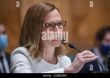 Jelena McWilliams, presidente della Federal Deposit Insurance Corporation, compare dinanzi a una commissione del Senato per l’audizione bancaria sulla supervisione dei regolatori: Il nostro sistema finanziario funziona per tutti? Nel palazzo degli uffici del Senato Dirksen a Washington, DC, USA, martedì 3 agosto, 2021. Foto di Rod Lamkey/CNP/ABACAPRESS.COM Foto Stock