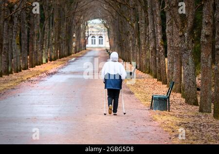 Uomo scandinavo a passeggio nel parco e gli alberi. Foto Stock