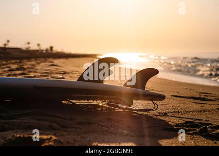 Pinne da surf sulla riva della spiaggia alla luce dell'alba Foto Stock