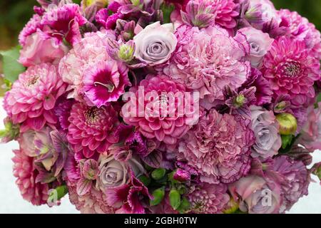 Botanica, bouquet in rosa scioccante, PER IL SALUTO/CARTOLINA-USO IN GERM.SPEAK.C ALCUNE RESTRIZIONI POSSONO APPLICARSI Foto Stock