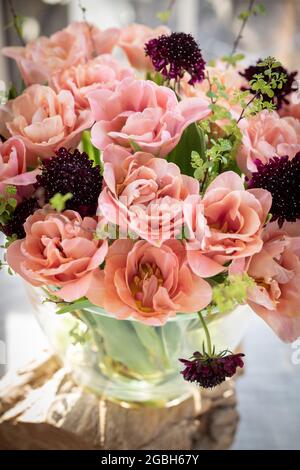 Botanica, bouquet di tulipani in albicocca-colorato, PER SALUTO/CARTOLINA-USO IN GERM.SPEAK.C ALCUNE RESTRIZIONI POSSONO APPLICARSI Foto Stock
