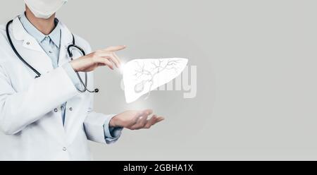 Medico femminile che tiene in mano la vescica di gallina virtuale. Organo umano Handrawn, spazio di copia sul lato destro, colore grigio hdr. Sanità / tecnologia scientifica Foto Stock