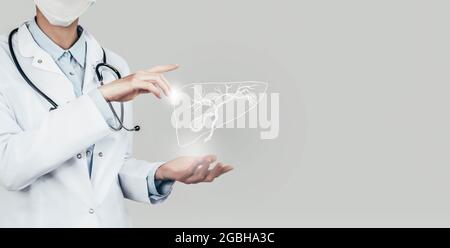 Medico femminile che tiene in mano la vescica di gallina virtuale. Organo umano Handrawn, spazio di copia sul lato destro, colore grigio hdr. Sanità / tecnologia scientifica Foto Stock