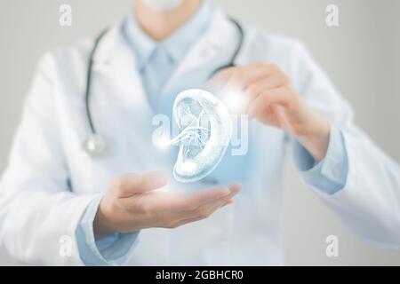 Medico femminile che tiene in mano un disegno volumetrico virtuale della milza. Organo umano Handrawn, colori fotografici grezzi. Stock di concetto di assistenza ospedaliera sanitaria Foto Stock