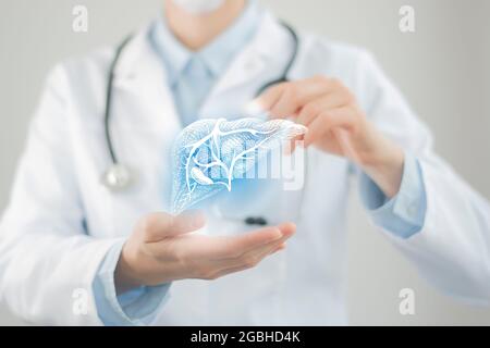 Medico femminile che tiene in mano il fegato virtuale. Organo umano Handrawn, foto sfocata, colori grezzi. Foto di stock del concetto di assistenza sanitaria ospedaliera Foto Stock