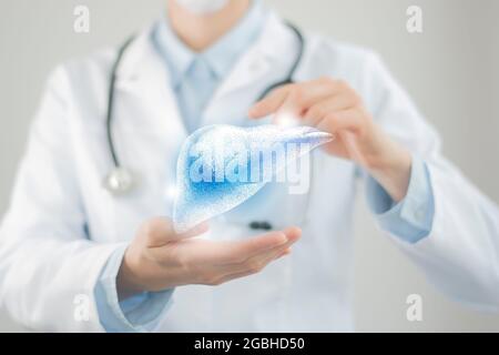 Dottore femminile che tiene in mano un disegno volumetrico virtuale del fegato. Organo umano Handrawn, foto sfocata, colori grezzi. Concetto di assistenza ospedaliera sanitaria Foto Stock